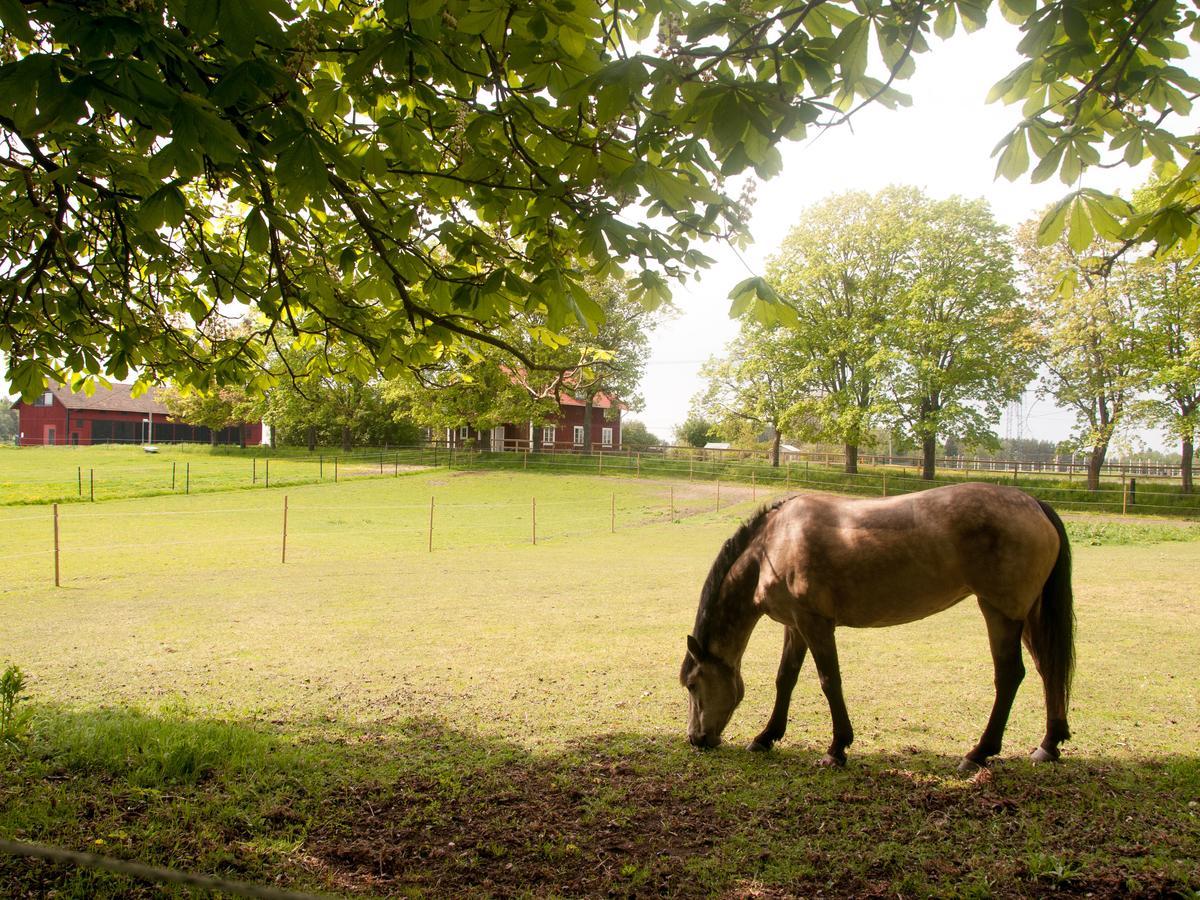 Ekeby I Bro Bed and Breakfast Buitenkant foto